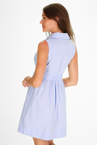 Ridley Dress in Sky Oxford Stripe