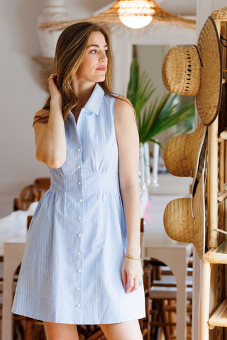 Ridley Dress in Sky Oxford Stripe