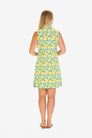 The Mackinac Dress in Lemonade