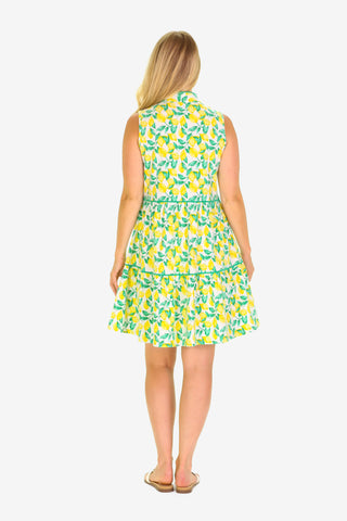 The Robin Dress in Lemonade