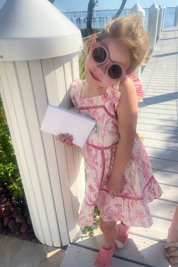 estella dress Girls Estella Dress in Pink Floral Toile