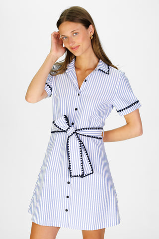 Atwood Dress in Blue Oxford Stripe