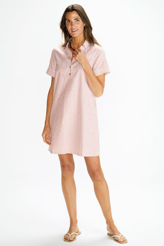 Banks Dress in Auburn Oxford Stripe