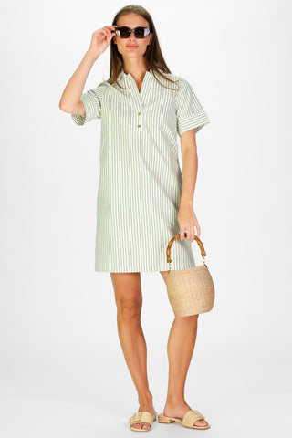 Banks Dress in Green Oxford Stripe