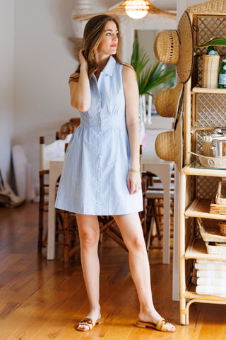 Ridley Dress in Sky Oxford Stripe