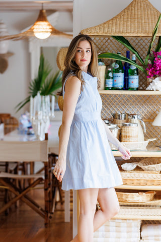 Ridley Dress in Sky Oxford Stripe