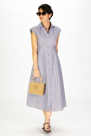 Pleated Callahan Dress in Driftwood Blue Stripe