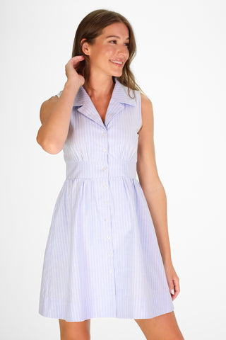 Ridley Dress in Sky Oxford Stripe