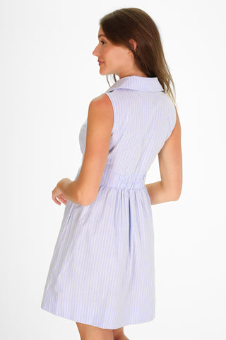 Ridley Dress in Sky Oxford Stripe