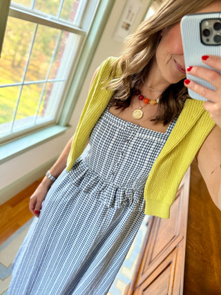 Wesley Dress in Navy Embroidered Gingham