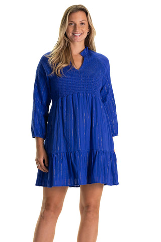 The Wren Dress in Bright Blue Metallic Stripe