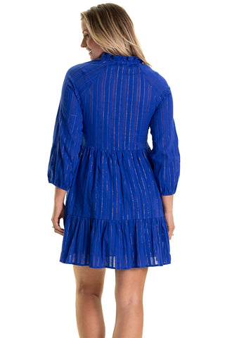 The Wren Dress in Bright Blue Metallic Stripe