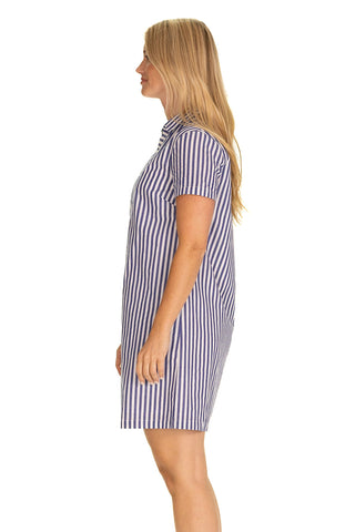The Asher Dress in Bright Blue Stripe