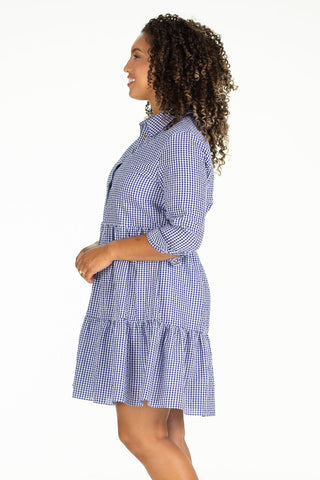 The Murphy Dress in Navy Gingham