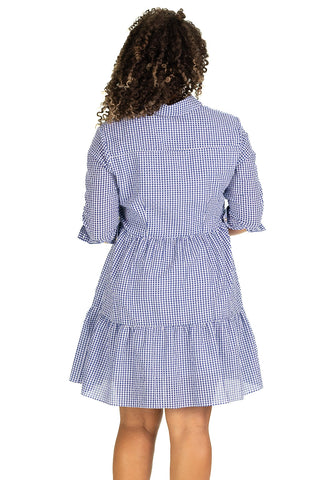 The Murphy Dress in Navy Gingham