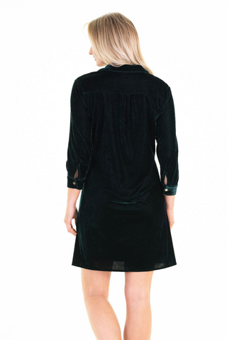 Alexis Dress in Evergreen Velvet